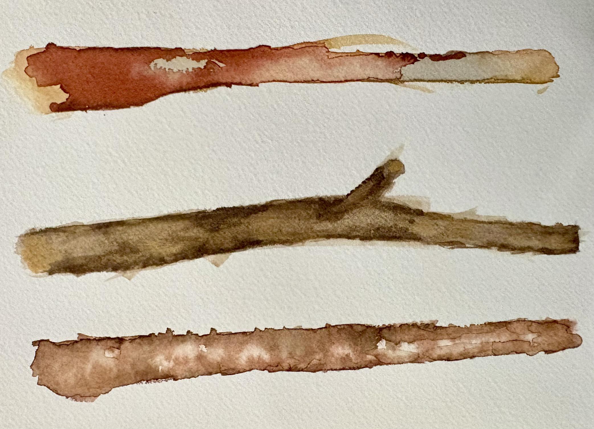Logs