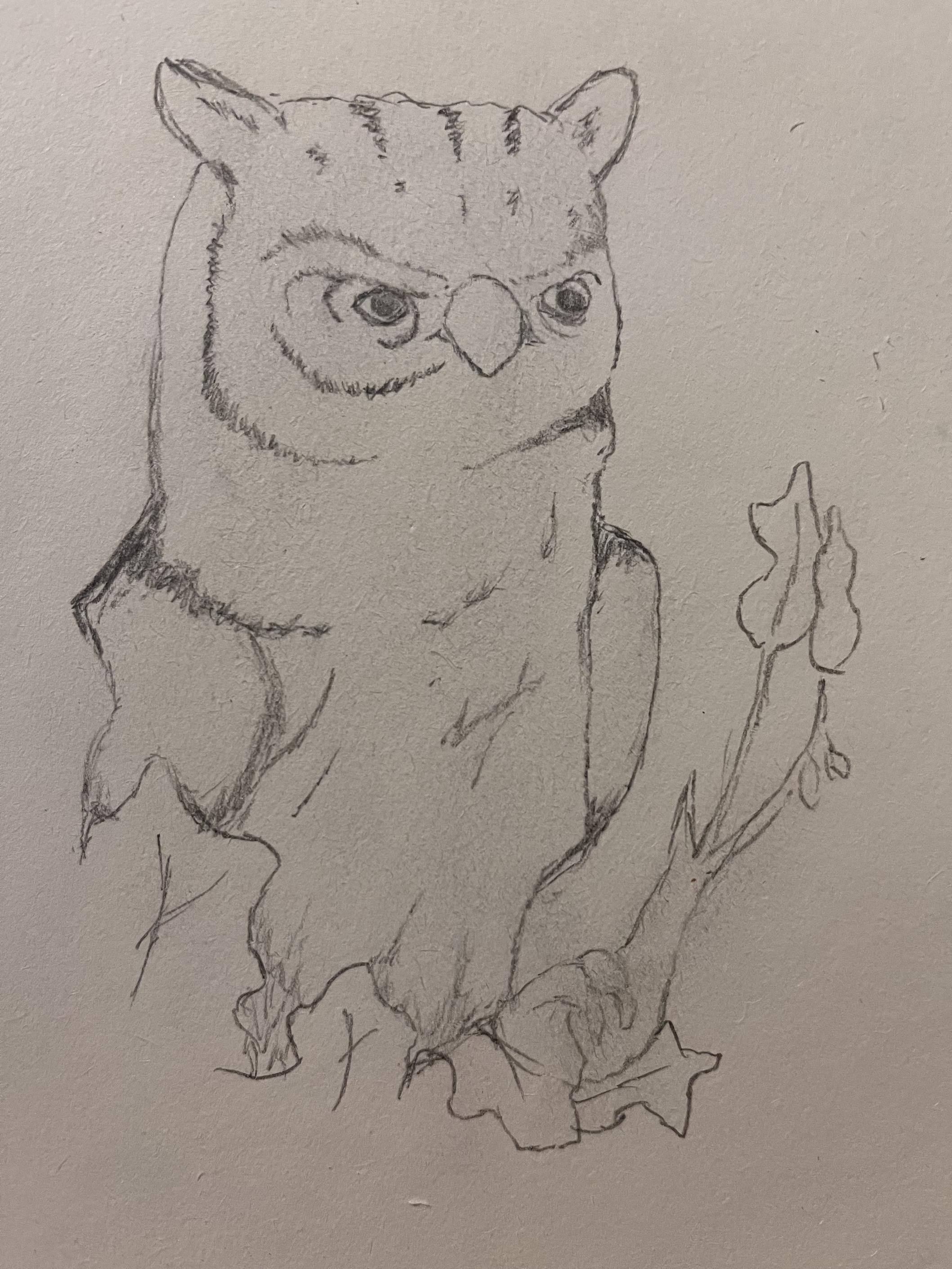 Owl of Me (Me-Owl)